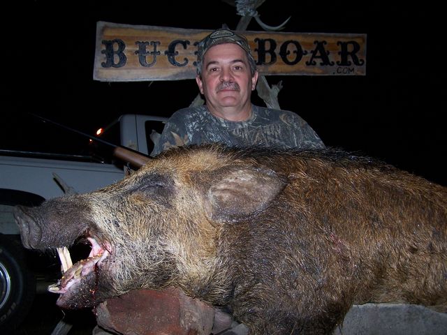 Buck and Boar pic's of the critters that took one 4 the team!